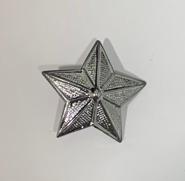Brevê/Distintivo Estrela da Platina do EB